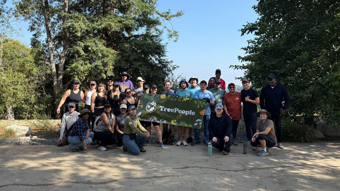The AirDoctor Team Volunteers with TreePeople