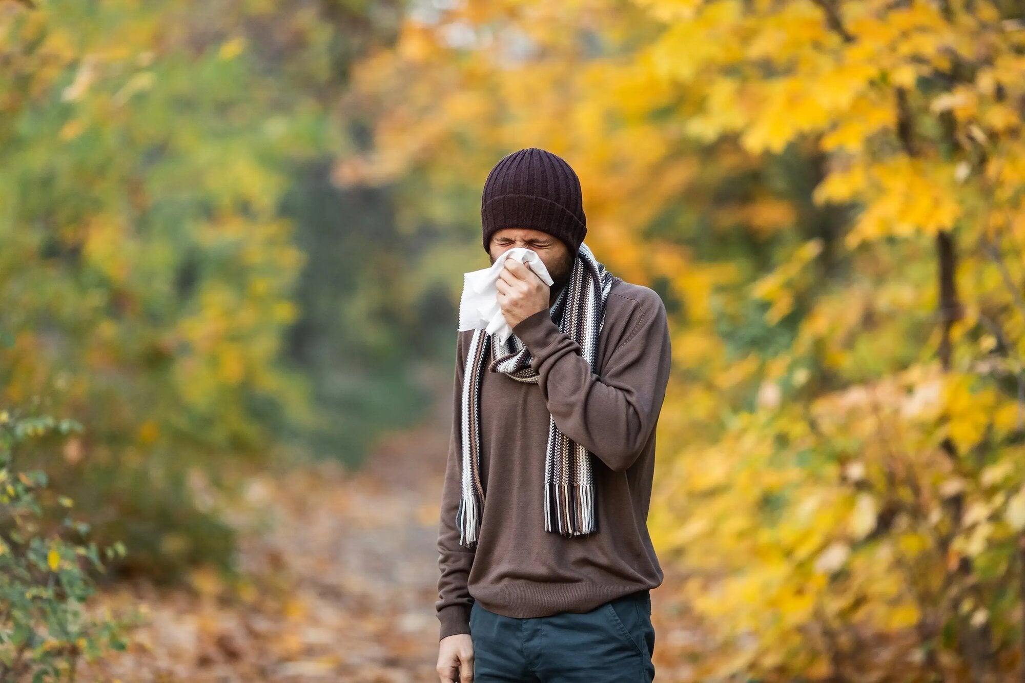 Fall Allergies: What They Are and What to Do About Them