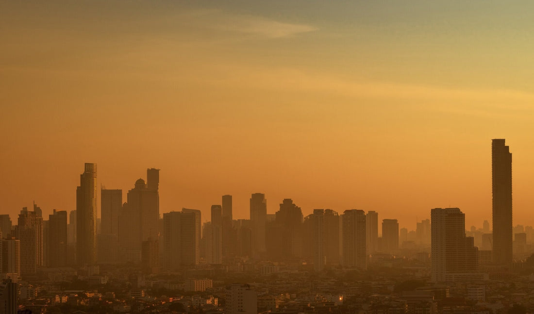 Air Quality Index: What You Should Know