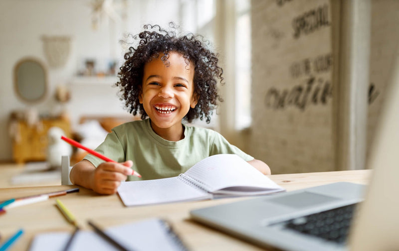 The Invisible Threat: How Indoor Air Pollution Harms Children’s Learning and Memory