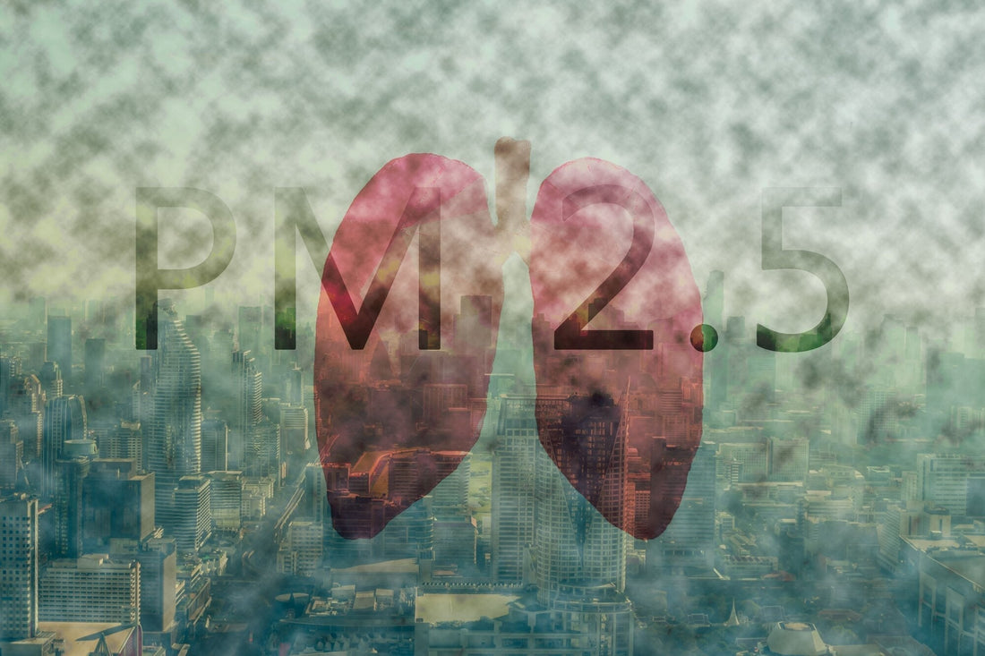 Lung Cancer and the Role of Air Purifiers