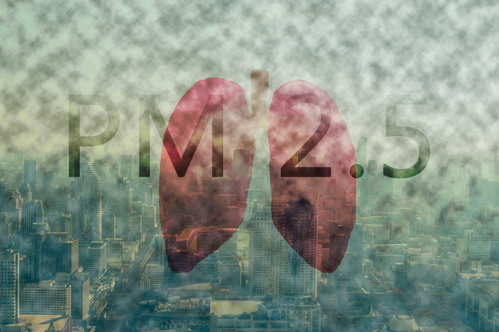 Lung Cancer and the Role of Air Purifiers