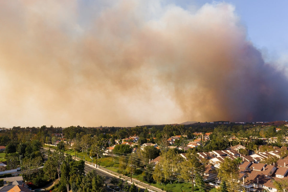 Wildfire Smoke: How Can an Air Purifier Help With Wildfire Smoke?