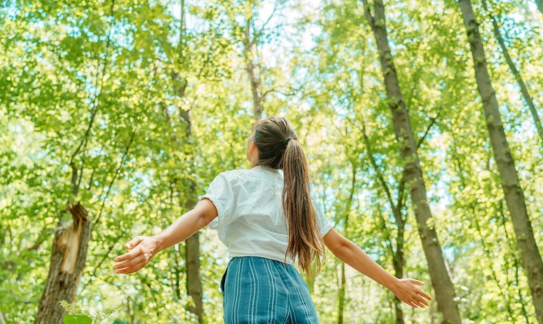 Air Purifiers for Allergies: Do They Make a Difference?