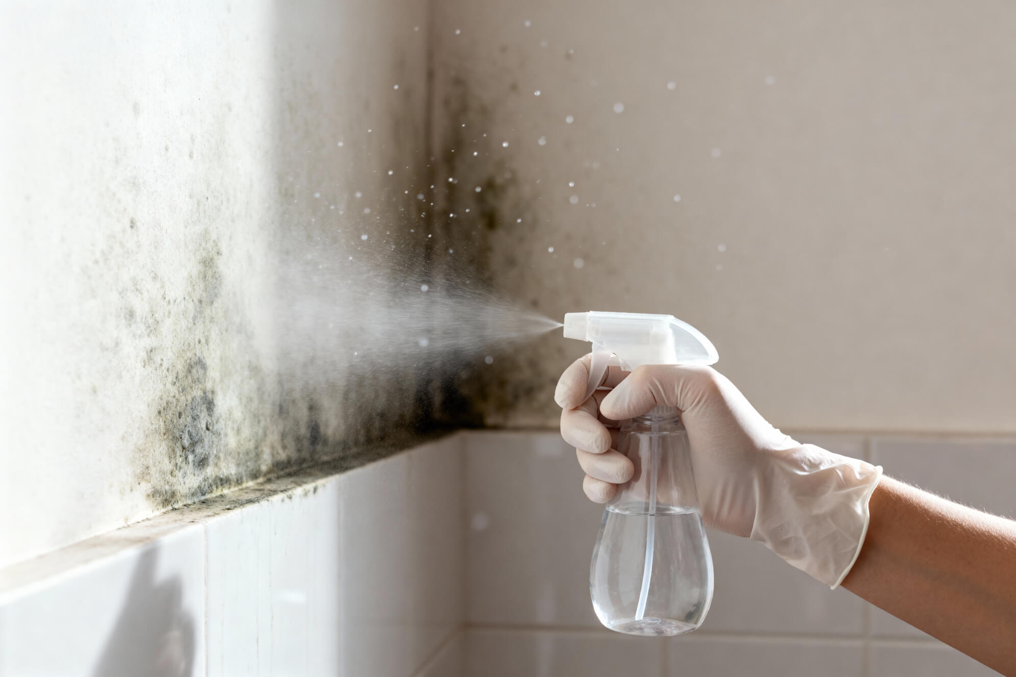 Mold & Your Health