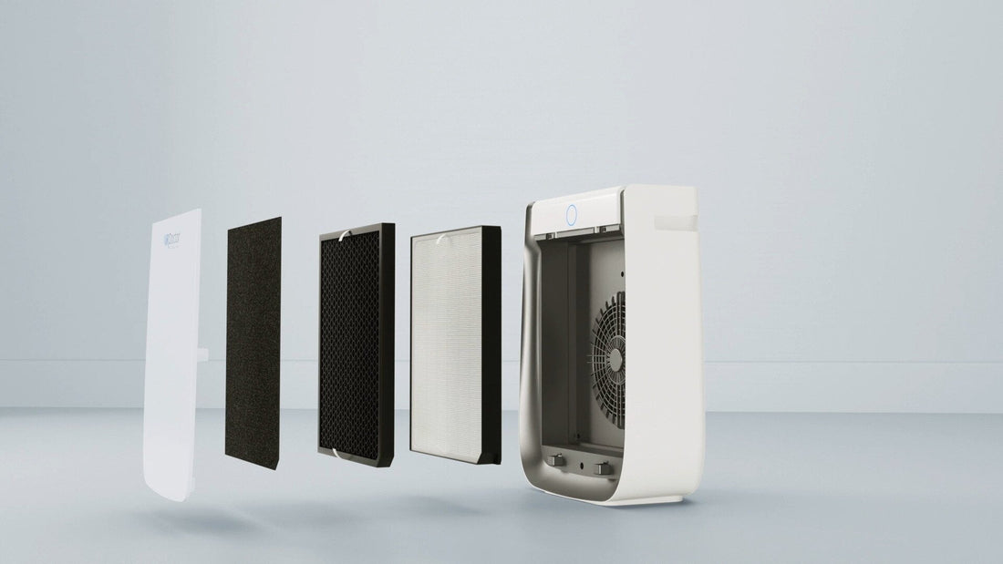 Let’s Clear the Air: Understanding HEPA Filters vs. Carbon Filters