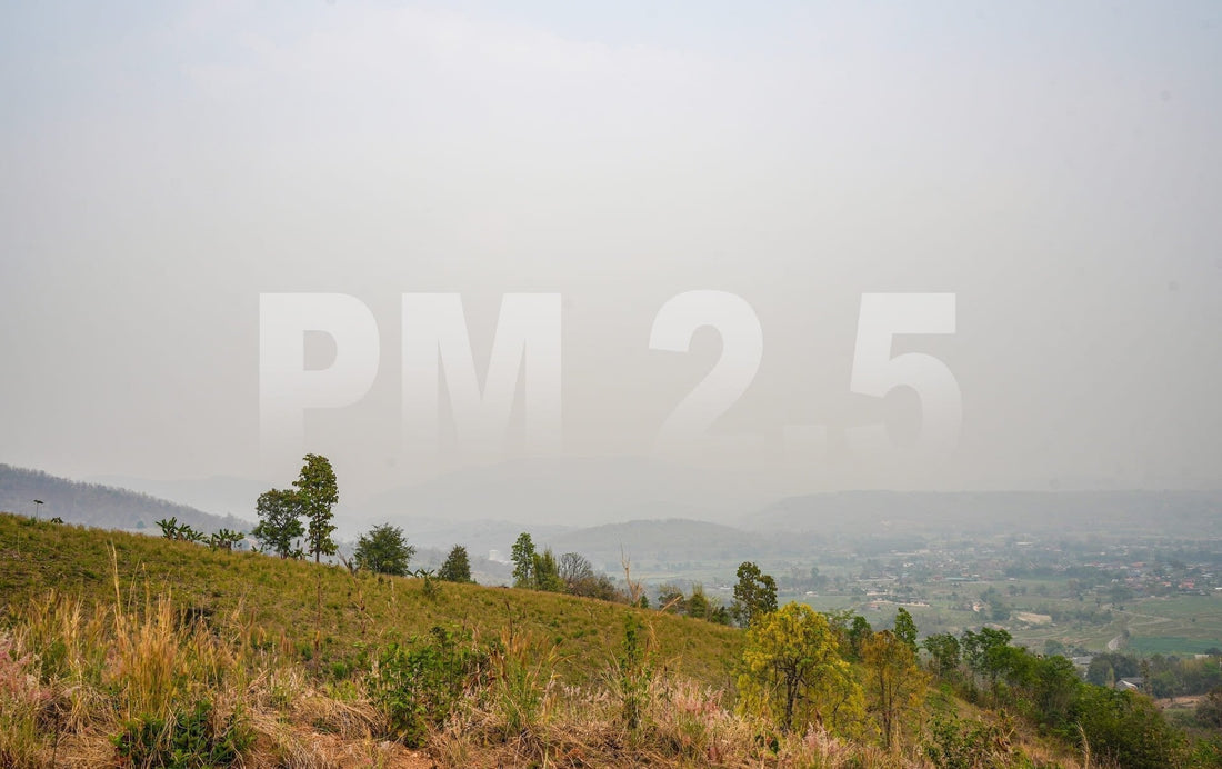 What Is Particulate Matter 2.5 and Why Is It Dangerous?