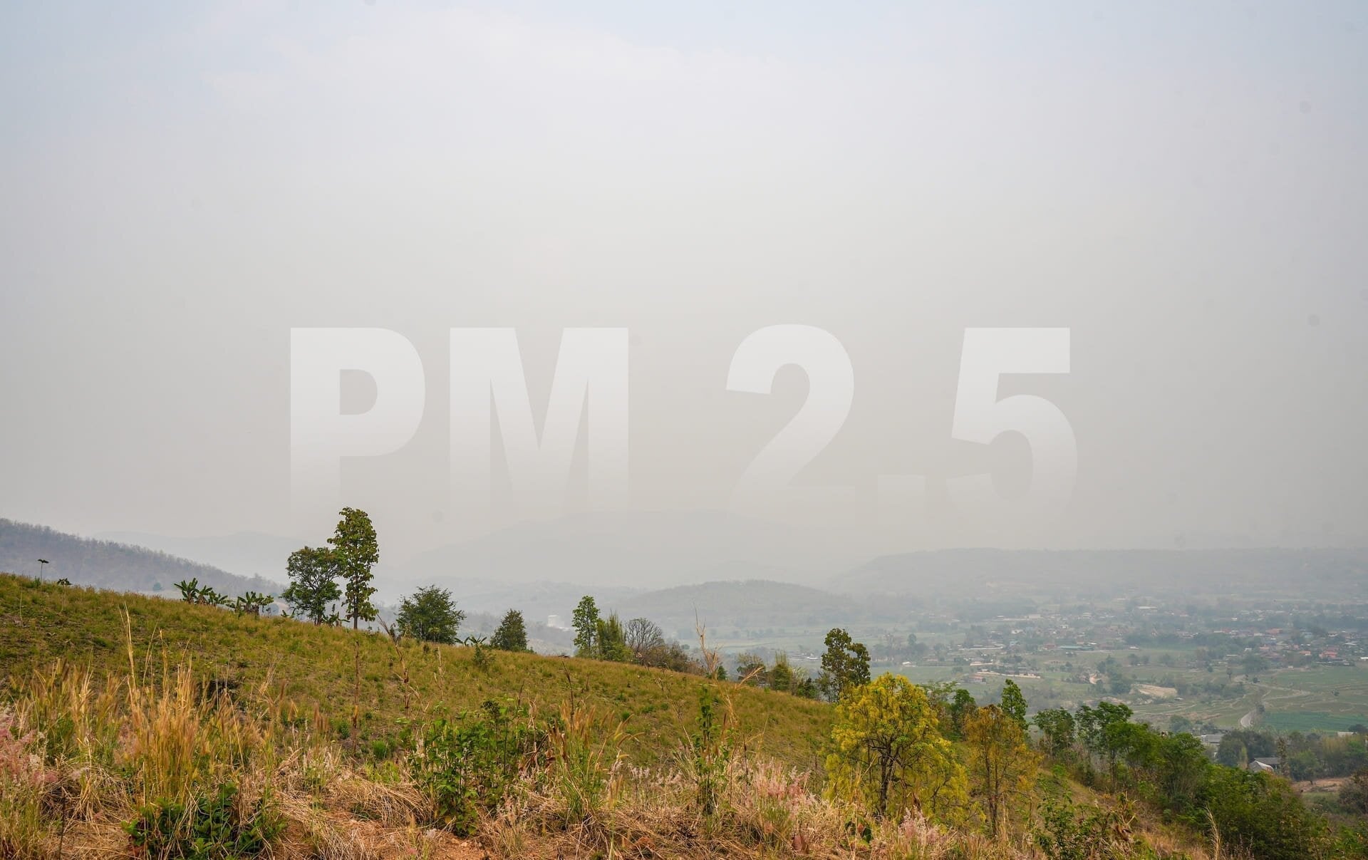 What Is Particulate Matter 2.5 and Why Is It Dangerous?
