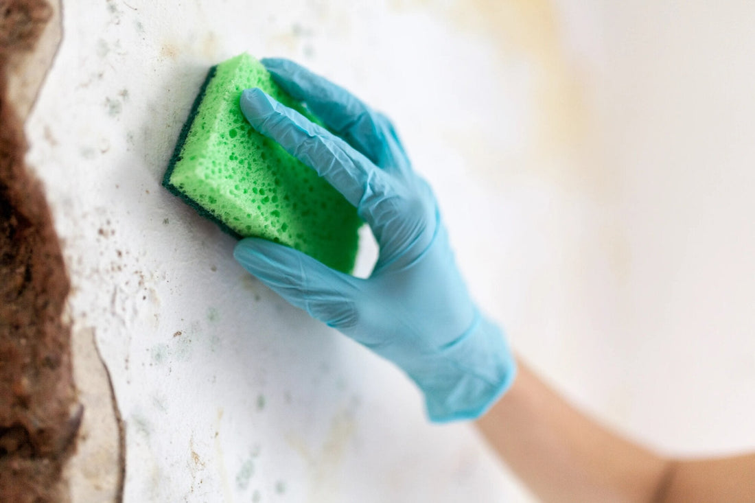 Mold Allergies: Miserable Symptoms and How to Stop Them