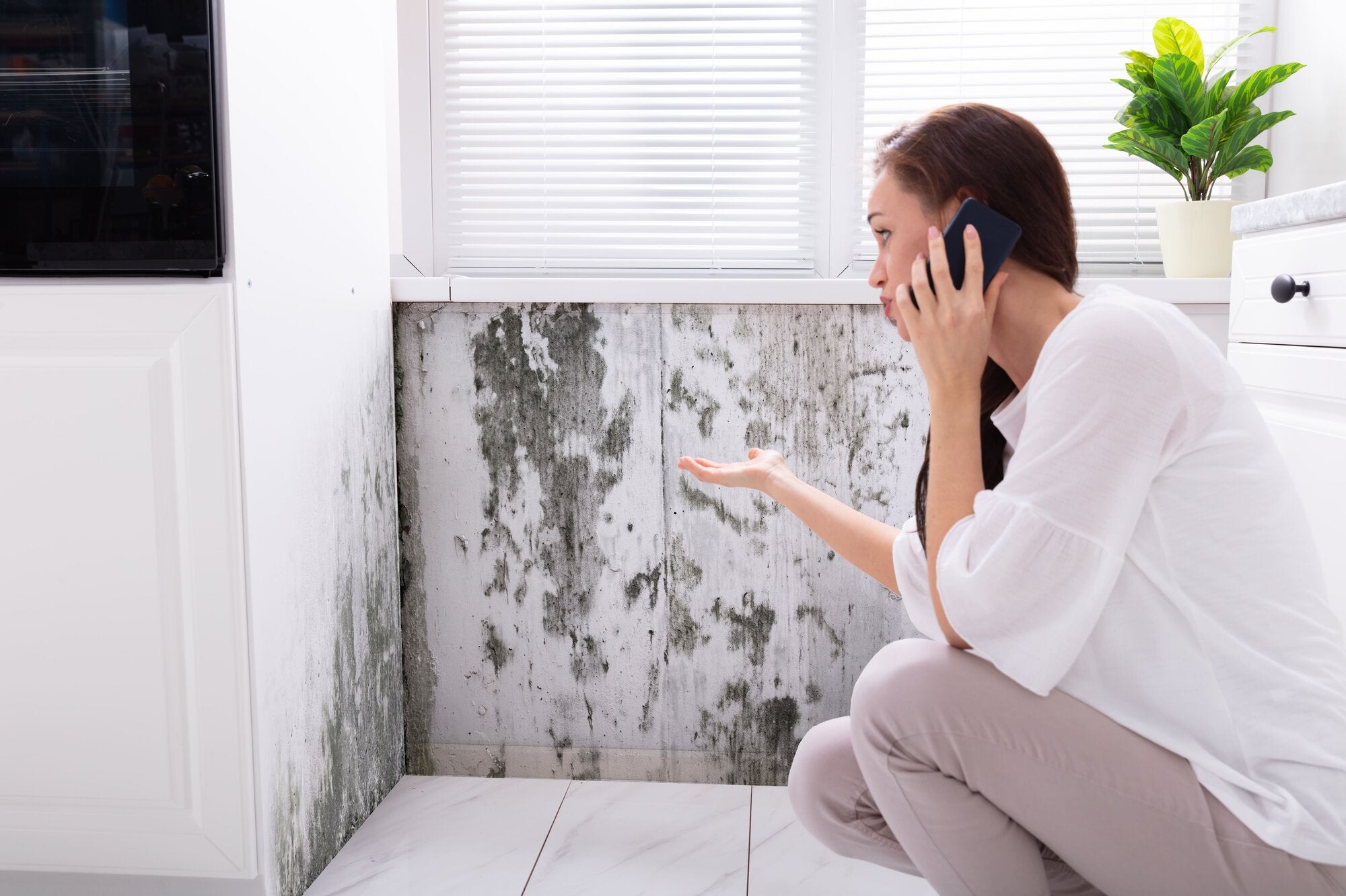 Why Mold Growth Increases During the Summer