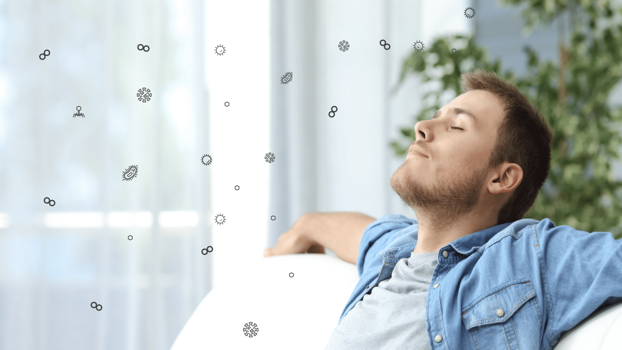 Dehumidifiers vs. Air Purifiers – Do You Need Both?