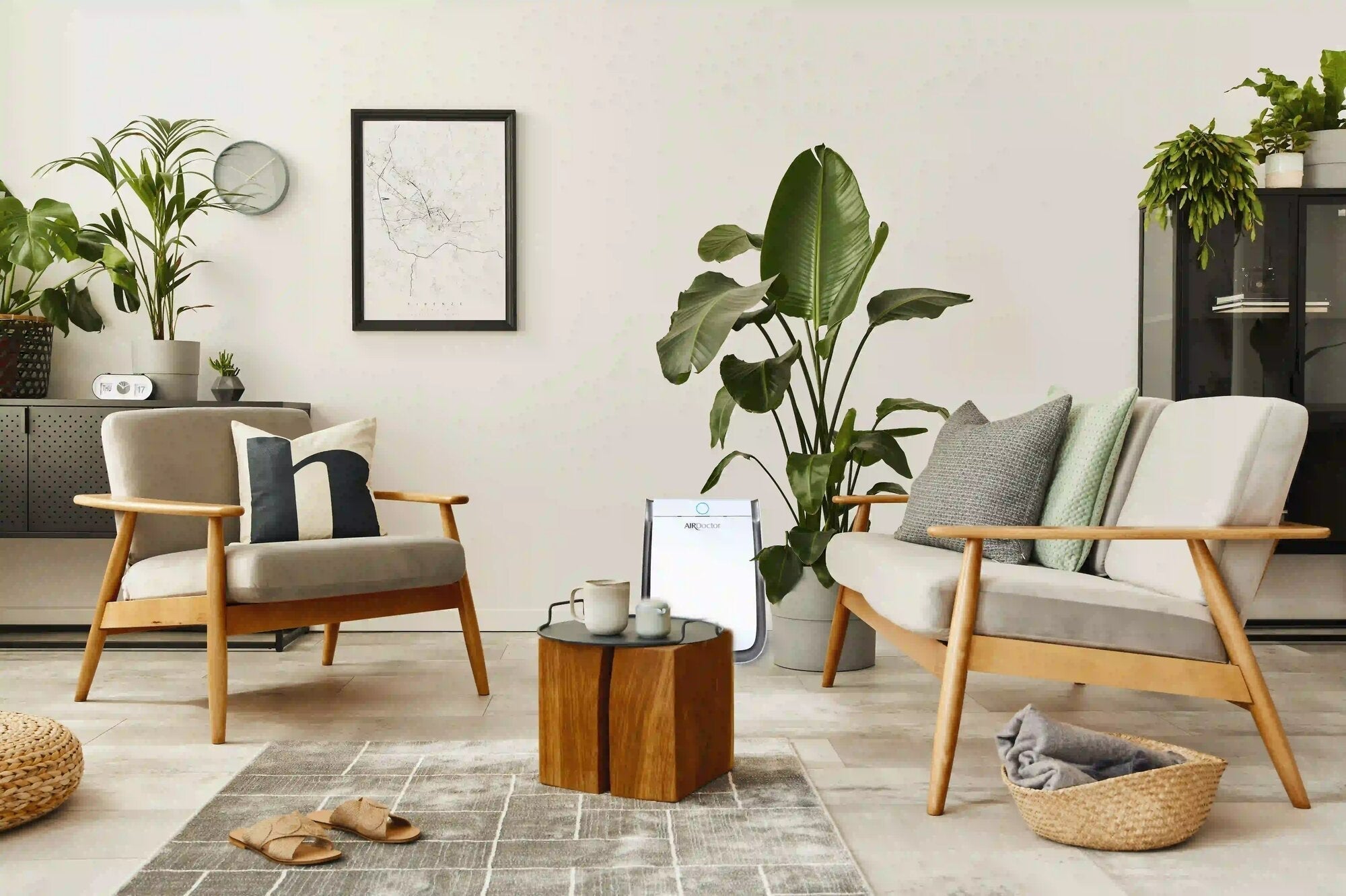 Indoor Plants and their Effect on Air Quality