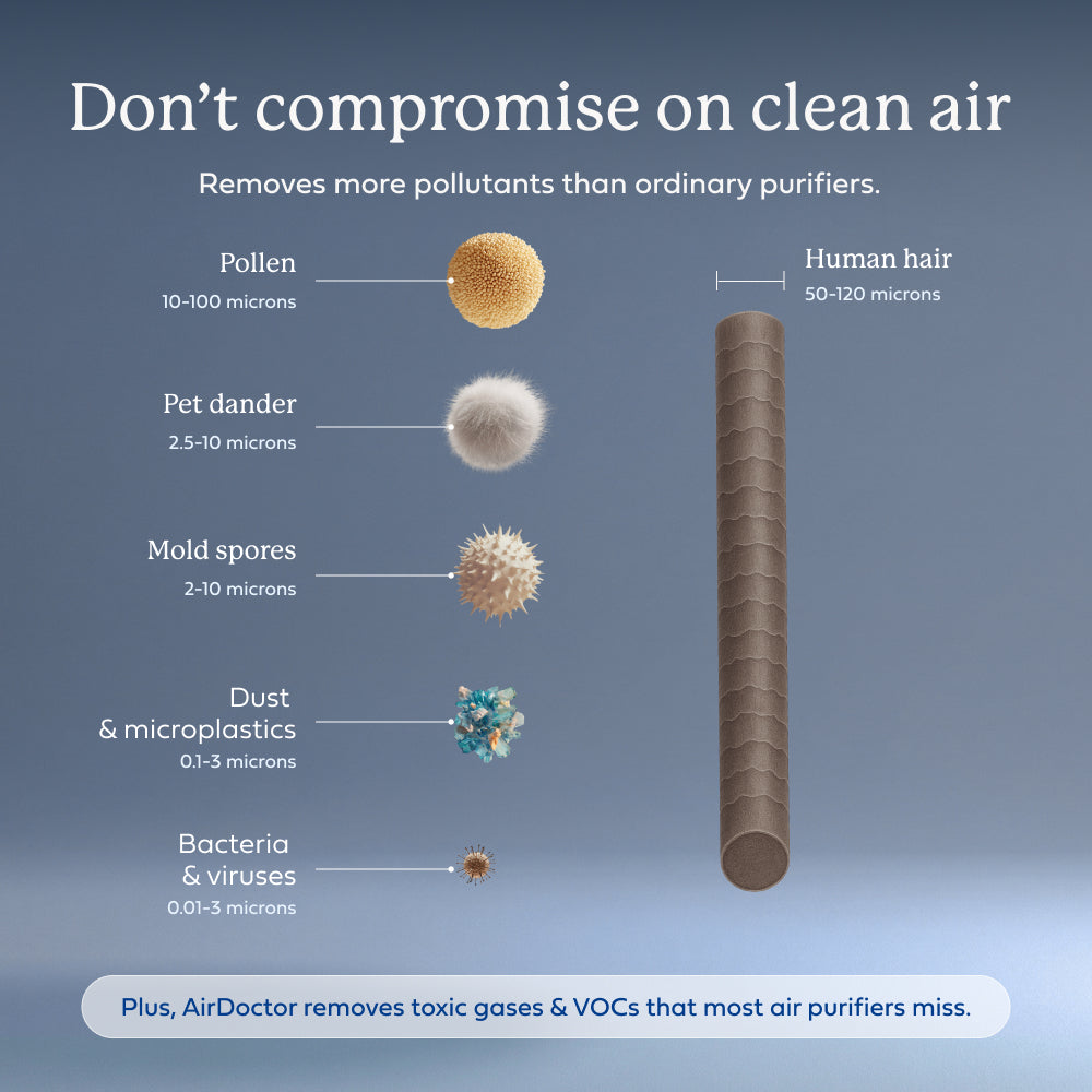 AirDoctor GO! particulate infographic